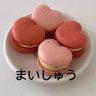 Фото профиля まいしゅう
