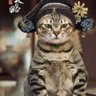 kobeCING24 profil fotoğrafı