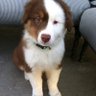 Bama's profile picture
