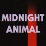 Midnight Animal's profile picture