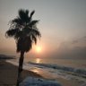 DİSİPLİNSİZ profil fotoğrafı