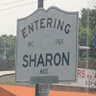 Sharon Queen of Irony's profile picture