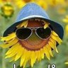 Profilbild von Dos Veces Parody
