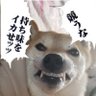 歩きタバコとサブカと下痢便バイク乗りはタヒね！ profil fotoğrafı