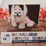 ゴン太kun 的头像