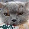 Фото профиля Vilma