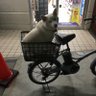 千里's profile picture
