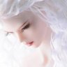 Profilbild von Darlene Bean
