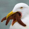 れもん profil fotoğrafı