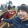 Profilbild von Luis Mansilla