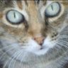 Karol🐾l💜🍻 profil fotoğrafı