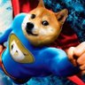 Фото профиля Crypto The Super Doge