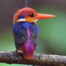 idul adha profil fotoğrafı