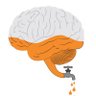 Фото профиля brain_gain_down_the_drain