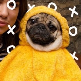 henrique's profile picture