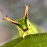 シネマティック自然観察 profil fotoğrafı