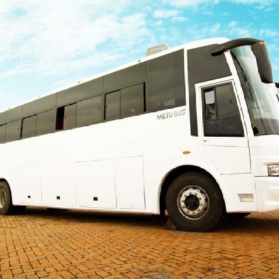 MetuBus's profile picture