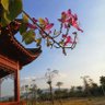 衡蝈蝈(互fo)'s profile picture