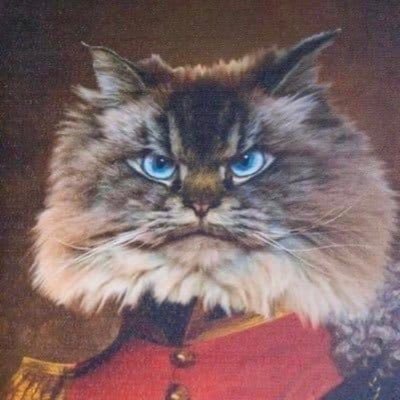 mattcolville's profile picture