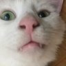 AyNur profil fotoğrafı