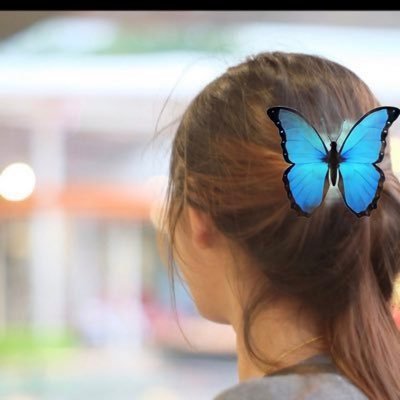 MedicalcarePalit's profile picture