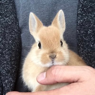 psuke1045A2's profile picture