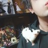 だるる@'s profile picture