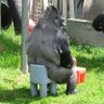 Leprosy's profile picture