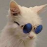 Profilbild von Master_Jayce