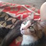 Eliana Granero's profile picture