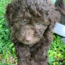 Humita profil fotoğrafı