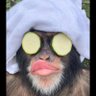 57 kingston's profile picture