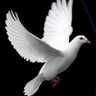 Profilbild von عبير