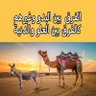 Profilbild von nawaf alshaalan ( Bedouin )
