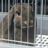 ウヒヒ 的头像