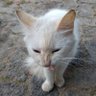 Profilbild von 🐈⬛🏡