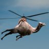 Profilbild von Flying Camel