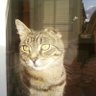 Debbie Sikora's profile picture