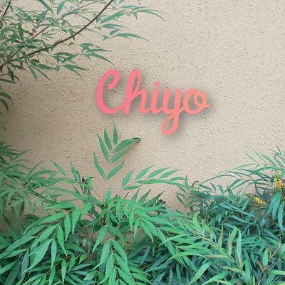 ちよ's profile picture