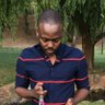 Zipho Mzobe 的头像