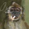 Profilbild von Matt