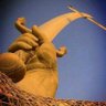 قصي القاصي's profile picture