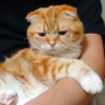 Profilbild von ちゃとび