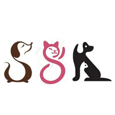 SENTHILSSK1982's profile picture