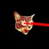 BillyL profil fotoğrafı