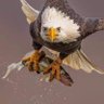 Juma Mondo's profile picture