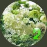 えこ profil fotoğrafı