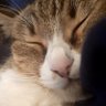 Clementine profil fotoğrafı