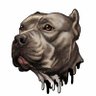 Profilbild von Maxmillian Urio