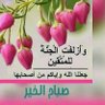حسام مطاوع's profile picture